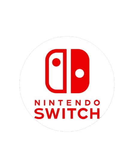 NINTENDO ESHOP